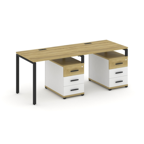 Бенч-система на 2 места с 2 опорными тумбами Concept CN.ORS-309 фото 6 Бенч-система на 2 места с 2 опорными тумбами Concept CN.ORS-309 фото 6